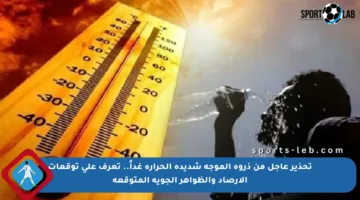 تحذير عاجل من ذروة الموجة شديدة الحرارة غداً.. تعرف على توقعات الأرصاد والظواهر الجوية المتوقعة
